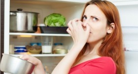 cách khử mùi hôi trong tủ lạnh