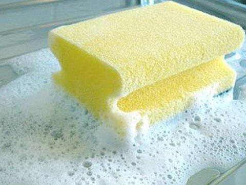 Lò vi sóng không chỉ để nấu ăn