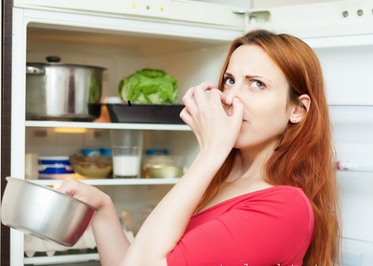 Tủ lạnh bị hôi – Bí quyết khắc phục